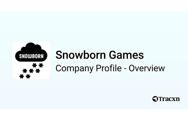Informasi tentang provider Snowborn Games, raja slot