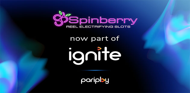 Spinberry: Mengapa Provider Slot Penting untuk Kesuksesan Kasino Online Anda?