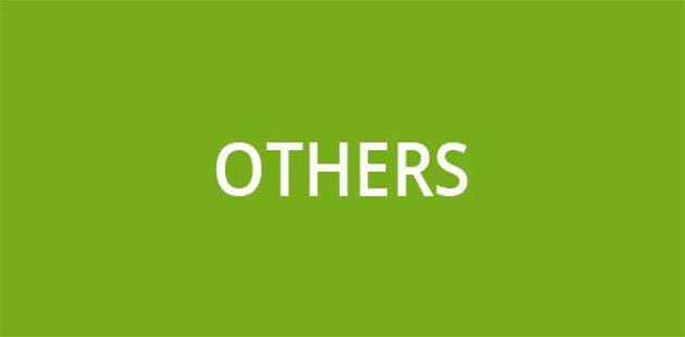 Provider Slot Online Others